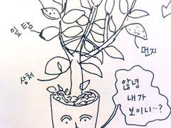 은혜 갚은 오리: 모르는 카페 고무나무 1시간 잎 닦고 가지치기 해준 만와