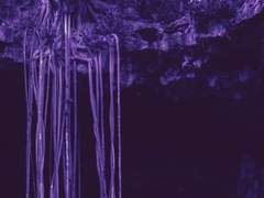 023. 뿌리 아래의 세계