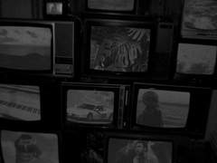 동물원에 원숭이