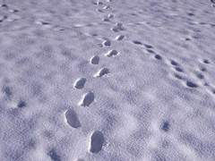 [인드혼약, 조선시대AU] 歸還(귀환)