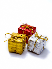 獅子牛 사자x소