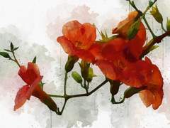 𝙲𝚘𝚗𝚏𝚒𝚍𝚘_