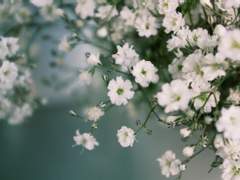 예카테리나 마카로프