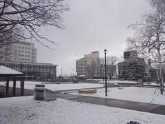 도둑을 잡고 싶어 하는 여자