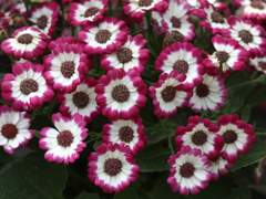 죄다 낭떠러지야.