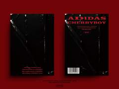 개인 작업 / ADIDAS CHERRY BOY