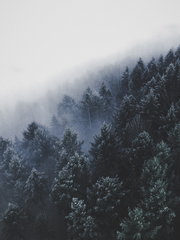 [도쿄 리벤저스/bl] 계절의 유서