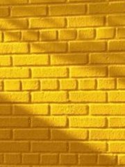 1학년 1반 이야기