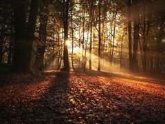 우리들의 가을은 빛날거야.