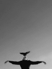 조류 훈련사 [ 바바라 코비_Barbara Corby ]