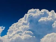 로렐 가브리아나 , 8세