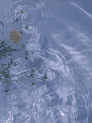 발신인이 없는 편지