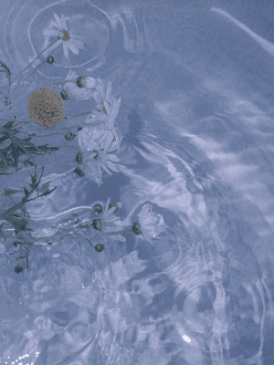 [청려문대] 발신인이 없는 편지