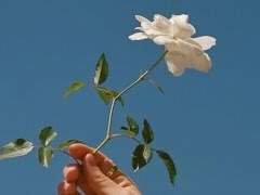 이야기, 랄까요.