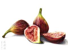 사랑하는 히나, 나의 하나 01