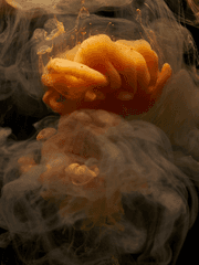 [ 라레볼 ] 친애하는 서도에게