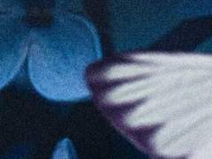 [중세] 왕녀×어릿광대