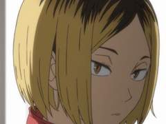 아기 고양이 켄마 썰