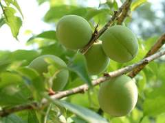 아기가 생겼어요 上