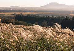 낭비되는 슬픔이 싫어서 上