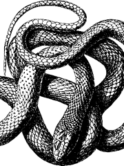 [ 라레볼x더뎁 ] 굽어살피소서