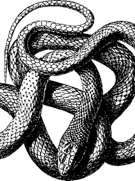 [ 라레볼x더뎁 ] 굽어살피소서