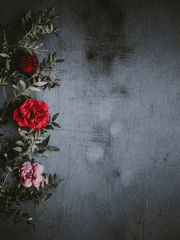 전지전능한 신은 즐거워도 되는거잖아?