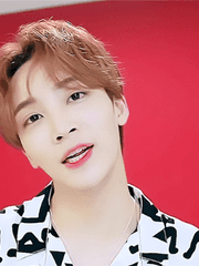 세븐틴 정한 빙의글