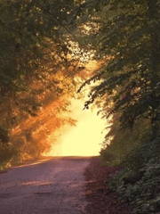 햇빛속으로 소설 번역