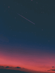 포레스텔라 리퀘스트