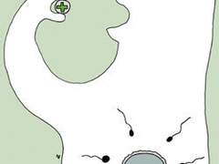 사후피임약 먹은 후기