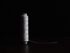 이야기의 시작.