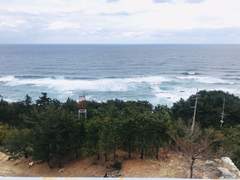 심리 상담은 마음을 자르고 도려내는 수술