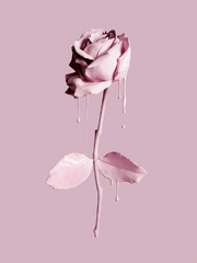 하이큐 드림 단편