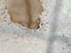 내가 사랑하는 모든 생명체가 웃음을 잃지 않길