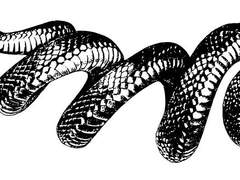 마태오의 증언 (상) 0. 시작