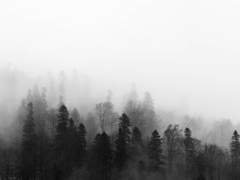 그대의 세상 - 겨울 中-