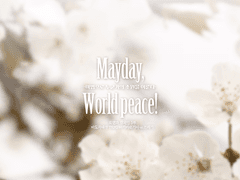 Mayday, World peace! 후기
