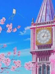 시티체고 사교클럽