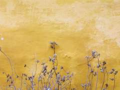 기억하기 위해 망각한다.