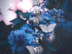 비밀 해안003_나비의 날개엔