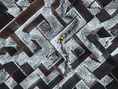 [케이리사] Tempus fugit, amor manet