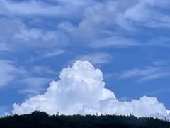 신살자 (神殺者) - (1)