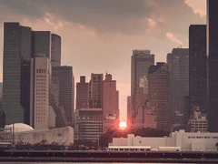 비슷하지만 다른 上