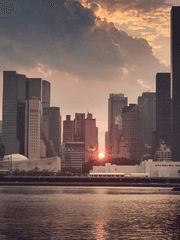 비슷하지만 다른