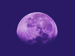 026. 달에 앉아서