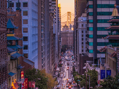 샹케 그거 보고싶다