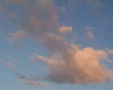 의다살 주접 글