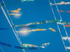 서체리 • 20 • 처치요원