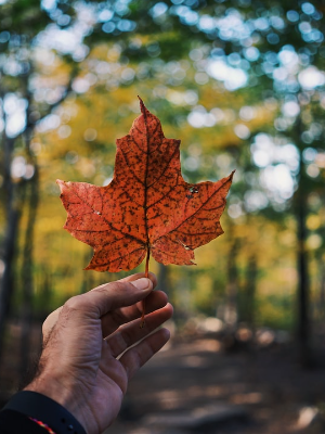 이 시리즈 미리보기 (무료)